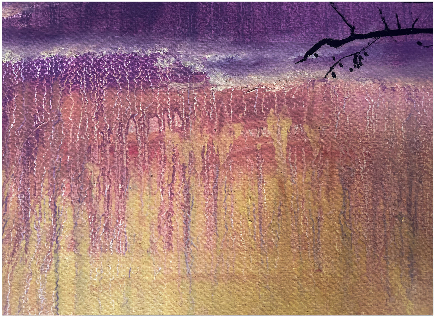 A story like the wind