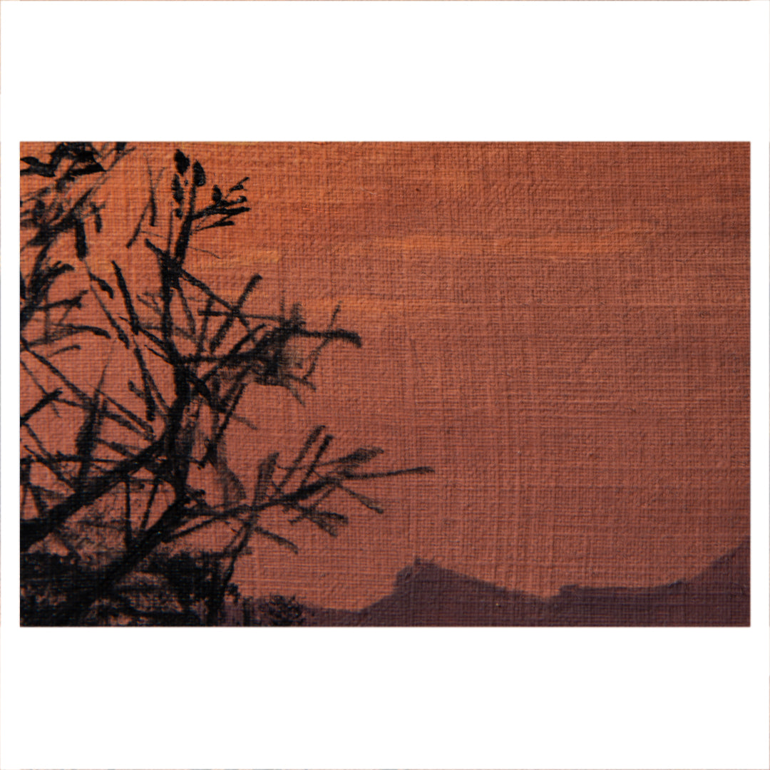 Bosveld Study 1