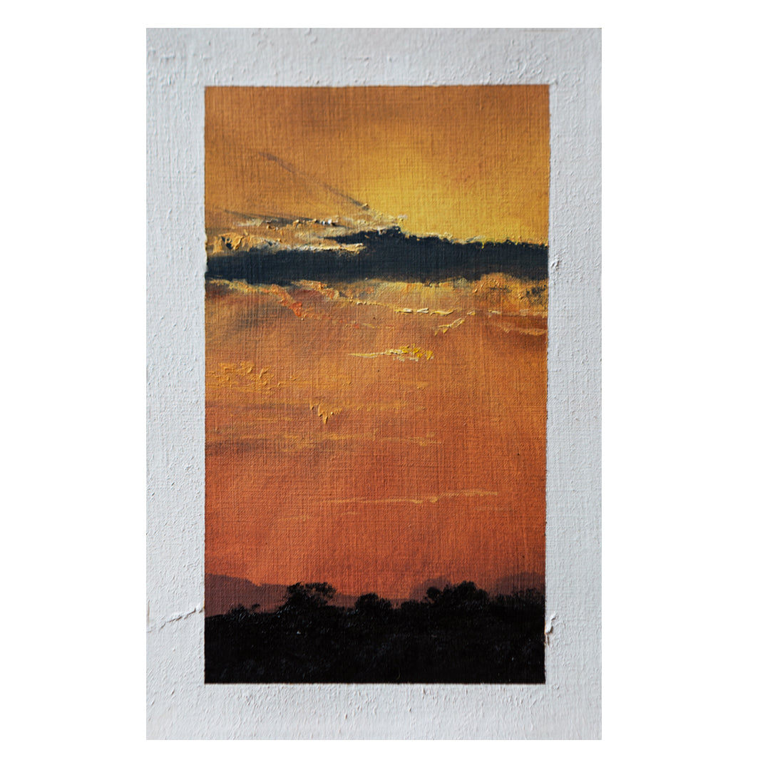 Bosveld Study 2