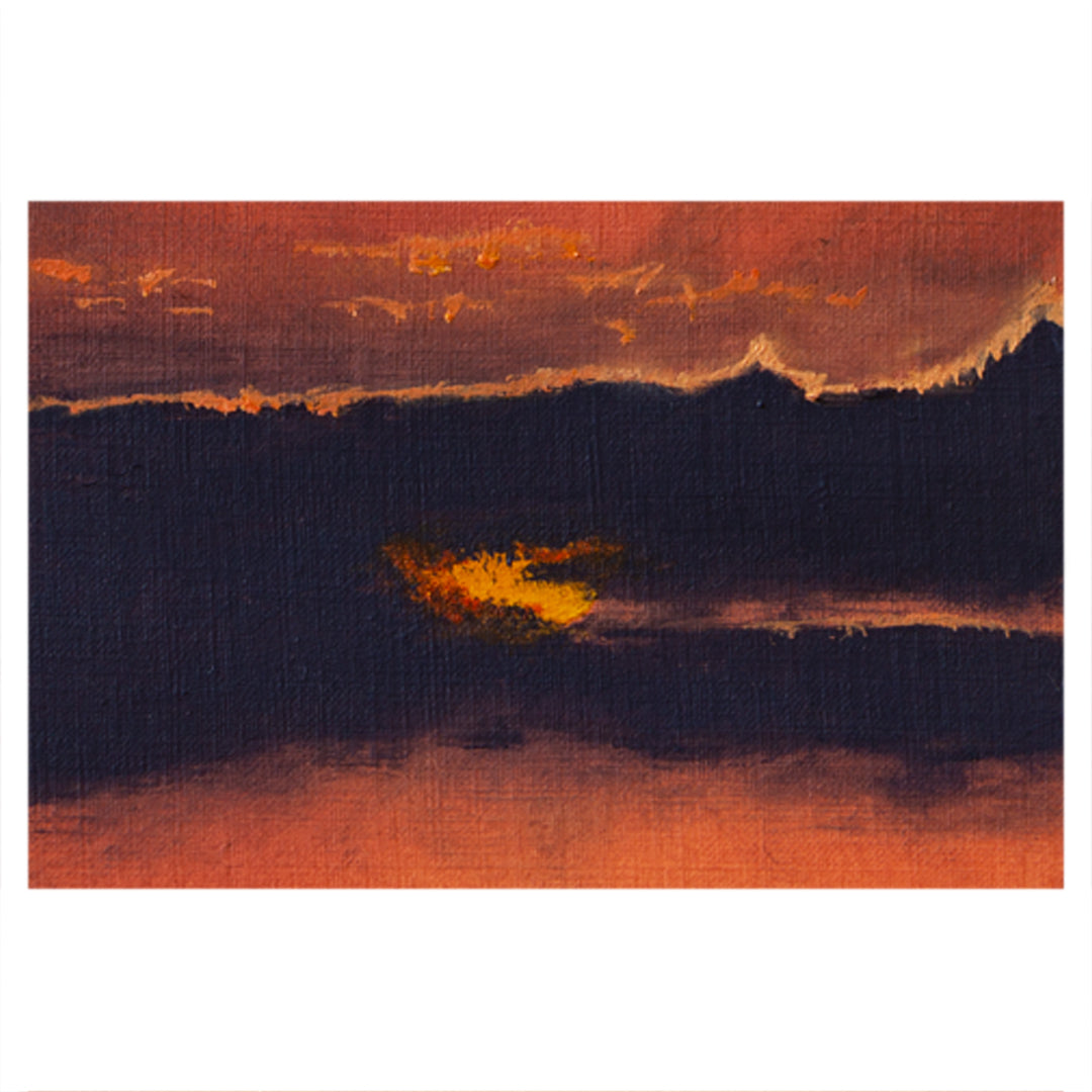 Bosveld Study 4