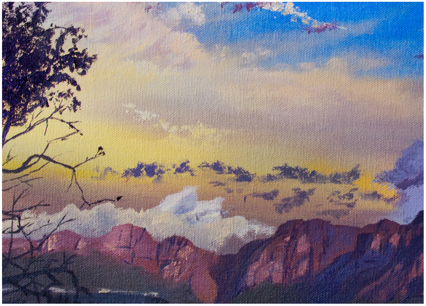 Evening cloud study