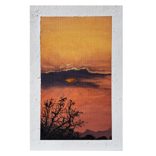 Bosveld Study 1