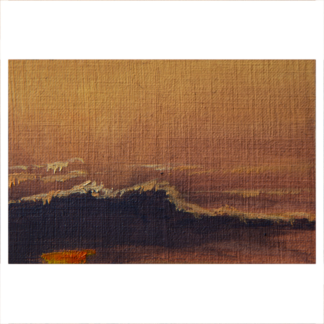 Bosveld Study 1