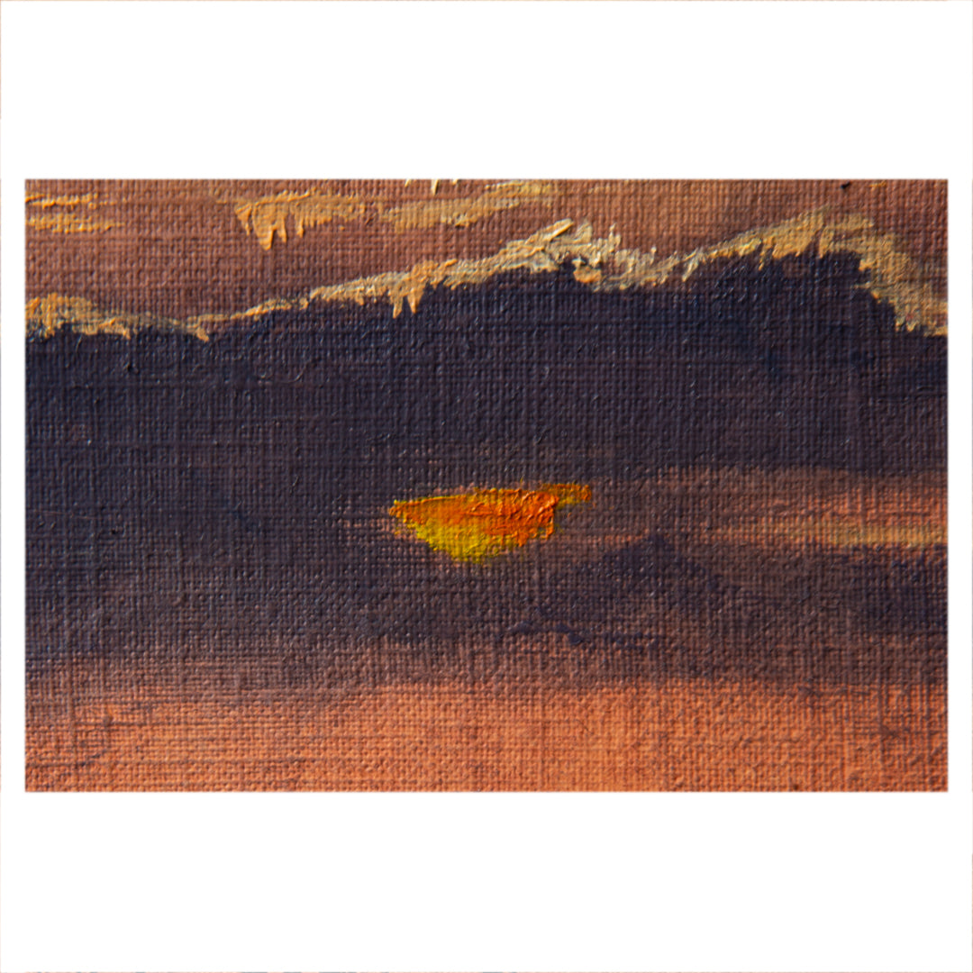 Bosveld Study 1