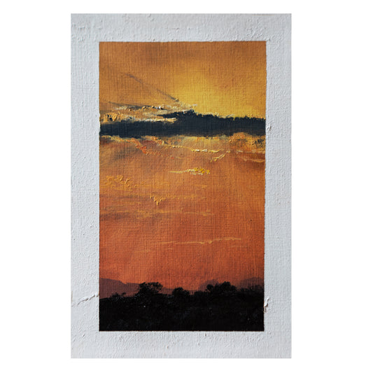 Bosveld Study 2