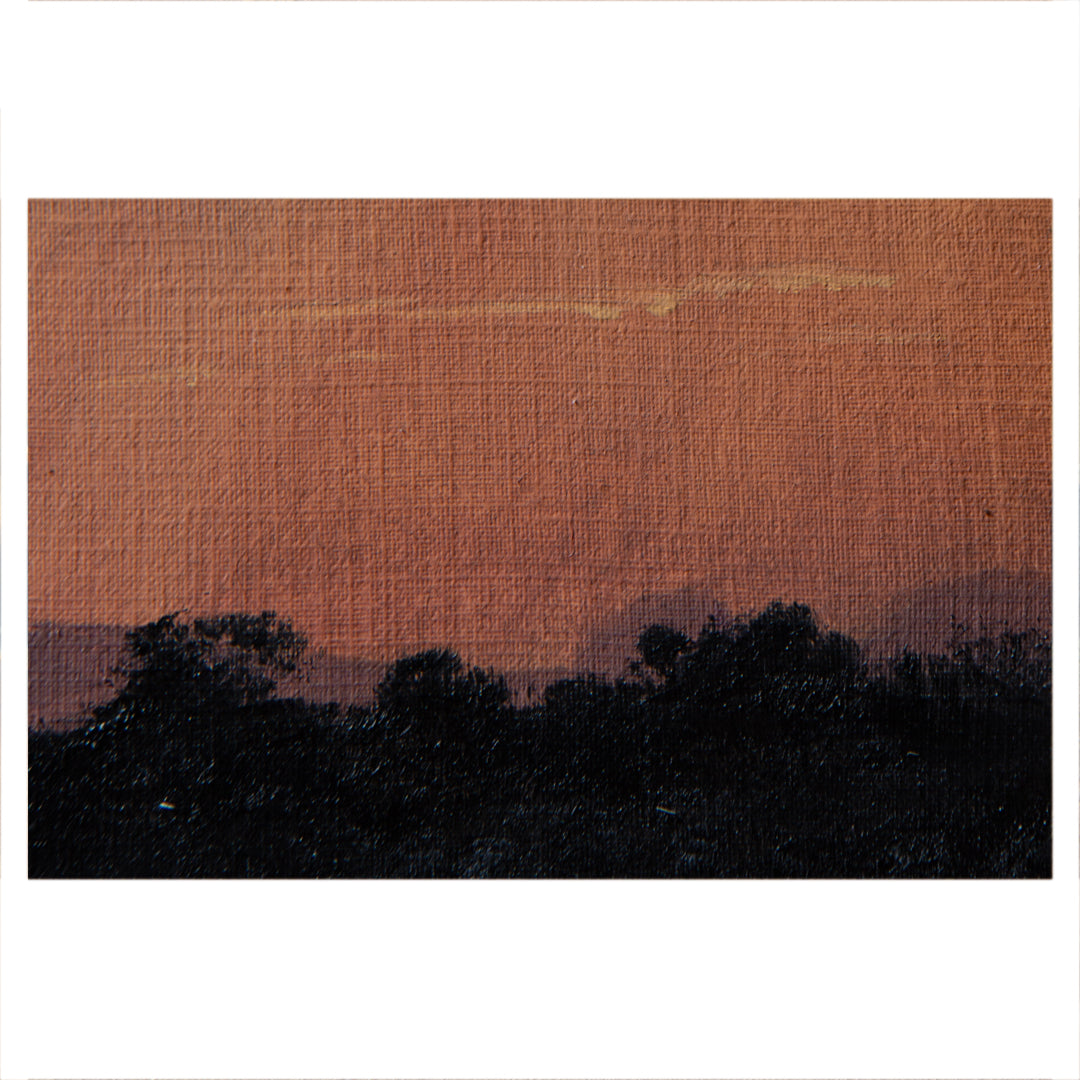 Bosveld Study 2