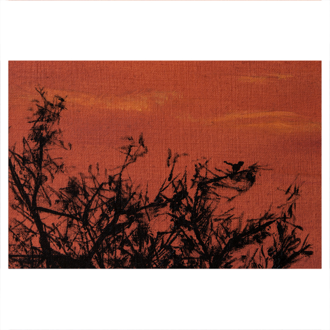 Bosveld Study 4