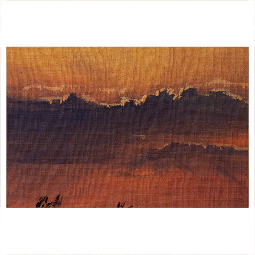 Bosveld Study 3