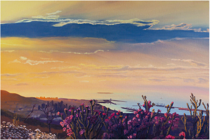 Harbour sunset