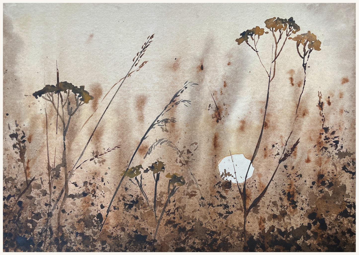 Uithoek farm veld detail 2