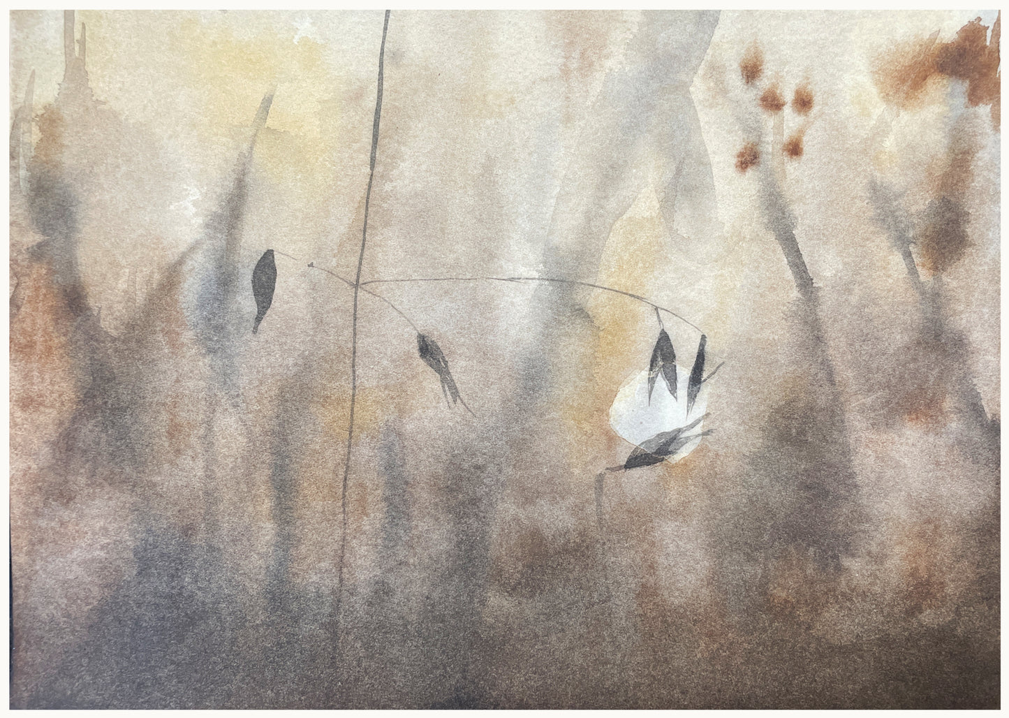 Uithoek farm veld detail 1