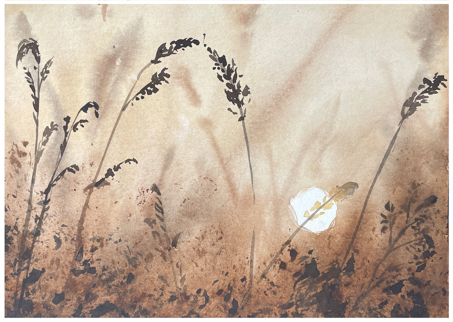 Uithoek farm veld detail 3