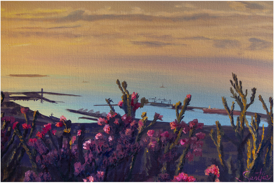 Harbour sunset